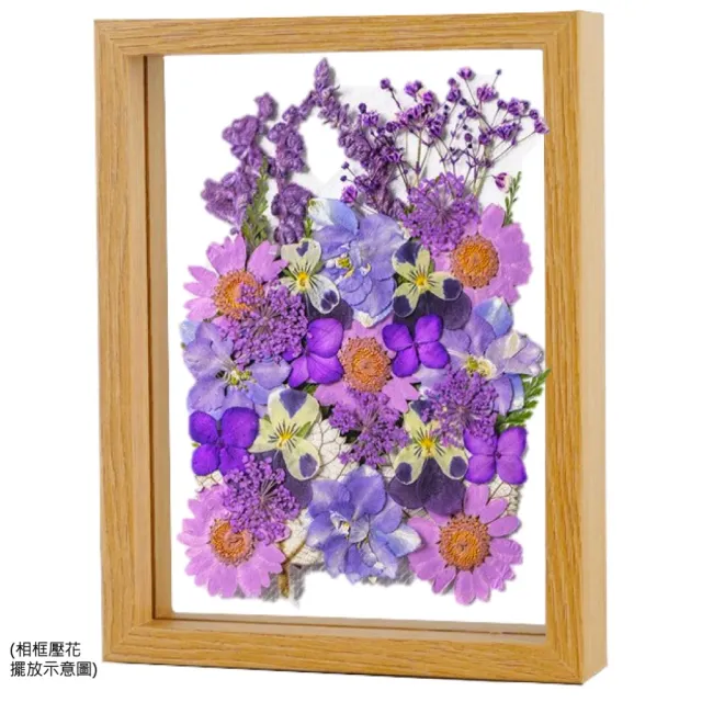 【A-ONE 匯旺】真花壓花 乾燥花 拼貼 貼臉裝飾 新娘妝 少女寫真DIY 壓花材料包