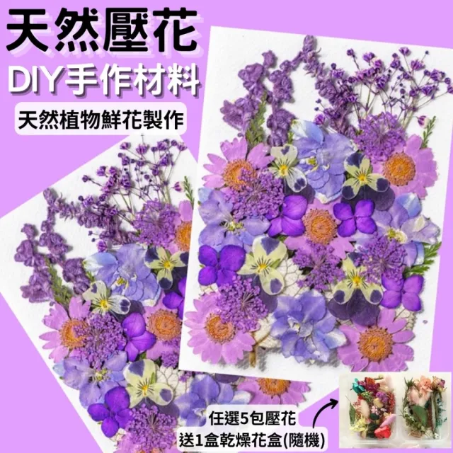 【A-ONE 匯旺】真花壓花 乾燥花 拼貼 貼臉裝飾 新娘妝 少女寫真DIY 壓花材料包