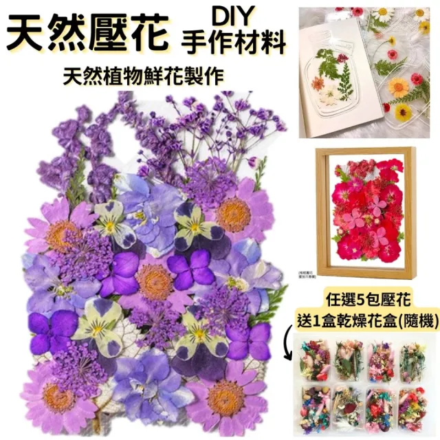 【A-ONE 匯旺】真花壓花 乾燥花 拼貼 貼臉裝飾 新娘妝 少女寫真DIY 壓花材料包