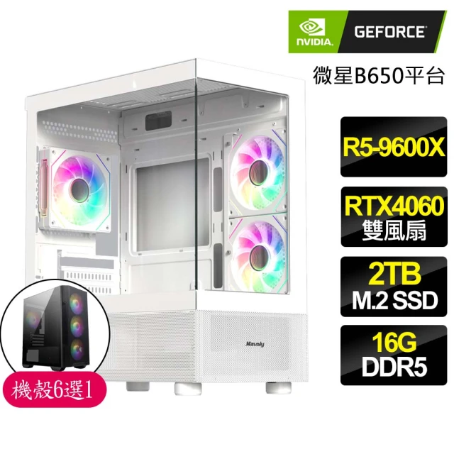 NVIDIA R5六核 RTX4060 {龍驤虎騰}海景房電競電腦(R5-9600X/B650/16G D5/2TB)