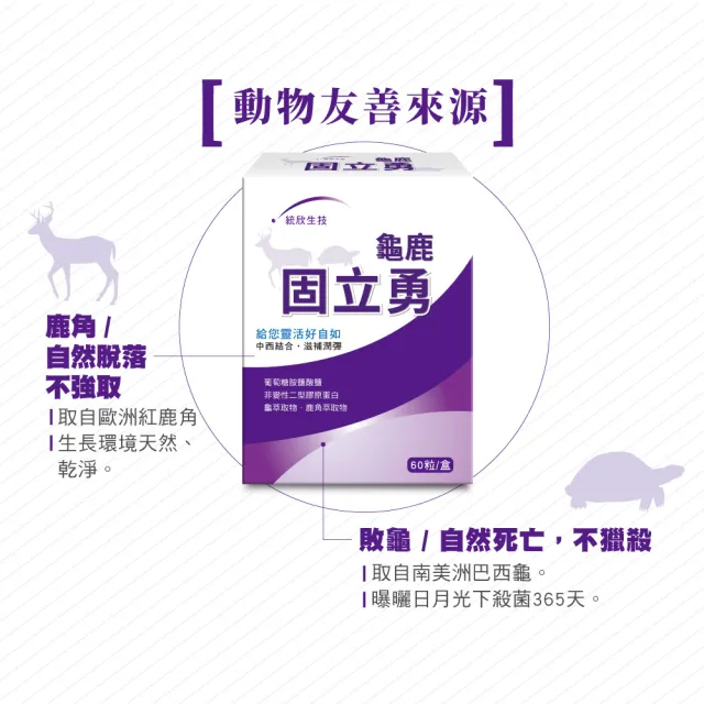 【統欣生技】買一送一龜鹿UCII 固立勇(60粒/入-葡萄糖胺.UCII.鯊魚軟骨素.運動保養)