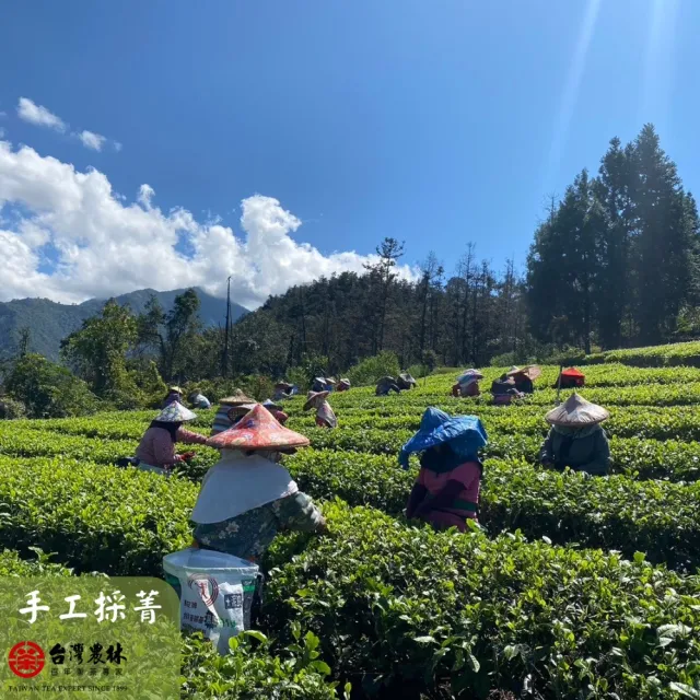 【台灣農林】官方直營 尚品紅玉紅茶台茶18號 日月老茶廠(茶包25入/盒)