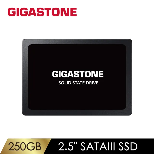【Gigastone 立達國際】250GB SATA III 2.5吋 ssd高效固態硬碟(讀500M/寫400M)
