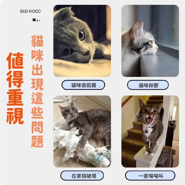 【貓鼠大戰】電動二檔貓抓老鼠響聲遊戲盤(智能 逗貓棒 貓抓板 發聲玩具 轉盤 益智 貓咪 自嗨 響紙 禮物)