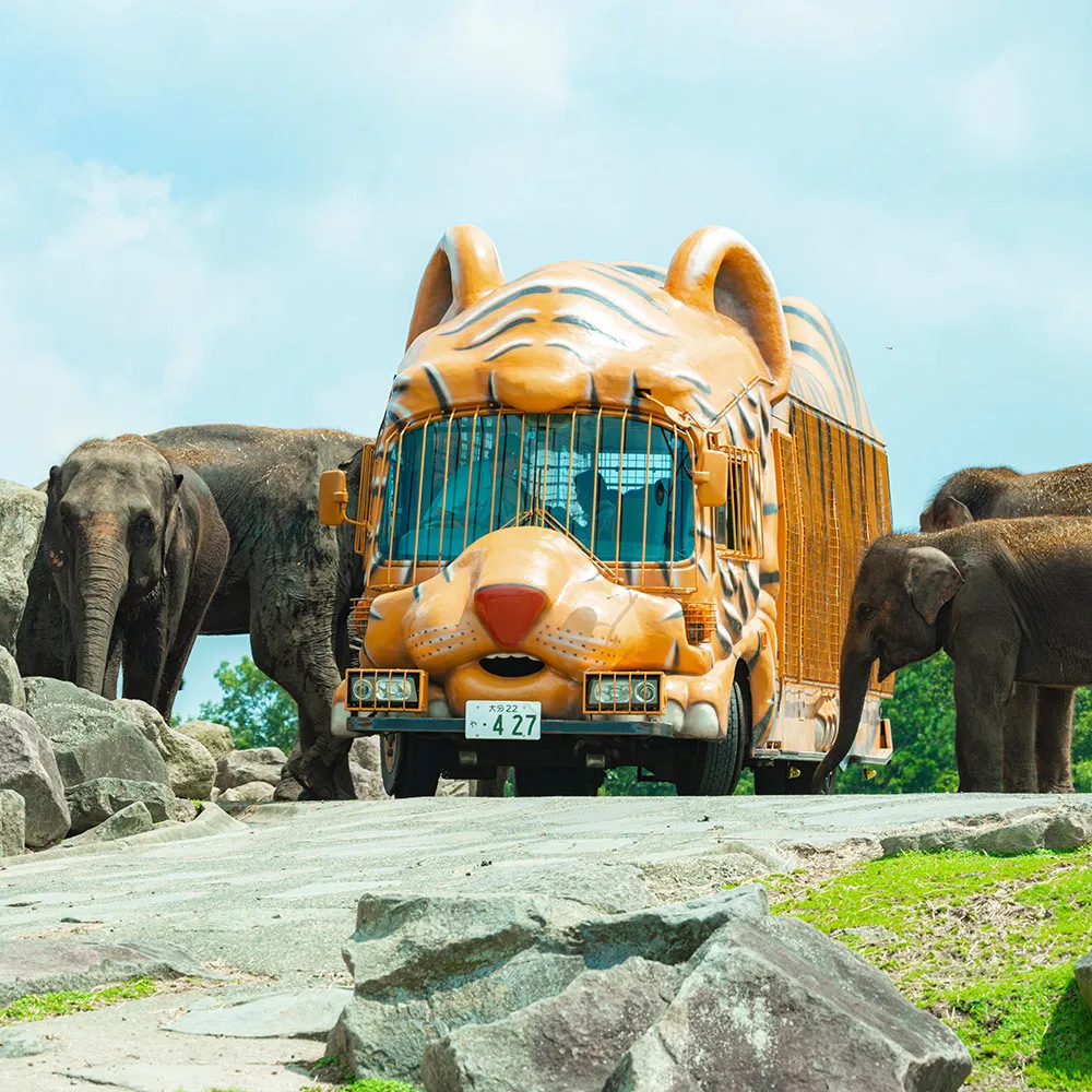 【喜鴻假期】【高雄出發．九州探險趣５日】叢林動物巴士、海洋世界、潮風號火車、湯布院、溫泉泡湯