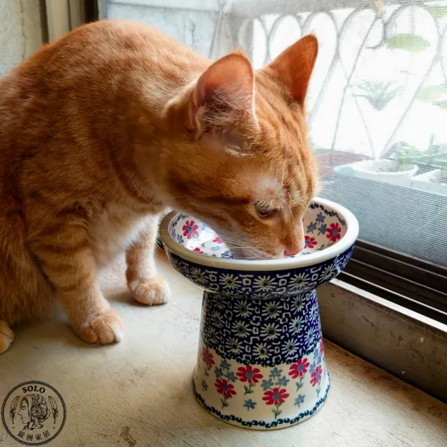 【SOLO 波蘭陶】波蘭製 Manufaktura 波蘭陶 14cm 寵物碗 高腳碗 貓咪/小型犬適用