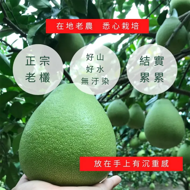 花蓮鶴岡60年老欉文旦禮盒10斤×1箱(9-15顆/箱_外銷等級_中秋送禮_企業採購_柚子)