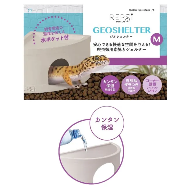 【NISSO 尼索】蜥蜴守宮專用遮蔽屋M GEOSHELTER(日本原裝進口)