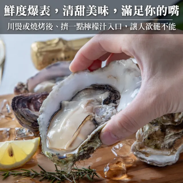 【三頓飯】日本原裝全殼牡蠣2L尺寸8包組(共40顆_單顆90-120g/約500g/包)