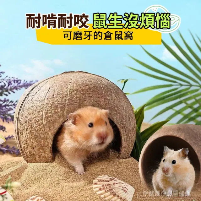 【IDREES 伊德萊斯】冬季倉鼠椰殼窩 倉鼠籠造景 避寒保暖溫倉鼠躲避屋(倉鼠籠 倉鼠窩 寵物飼養箱)