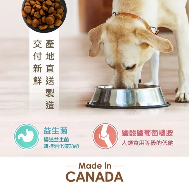 【Nutrience 紐崔斯】無穀養生系列全齡犬寵糧-2.5kg(成犬、全齡犬、添加益生菌、WDJ、小顆粒飼料、小型犬)