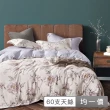 【貝兒居家寢飾生活館】60支100%蘭精萊賽爾天絲兩用被床包組 裸睡系列 B款(雙人/加大  均一價) 涼被/冷氣毯