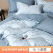 【貝兒居家寢飾生活館】60支100%蘭精萊賽爾天絲兩用被床包組 裸睡系列 B款(雙人/加大  均一價) 涼被/冷氣毯