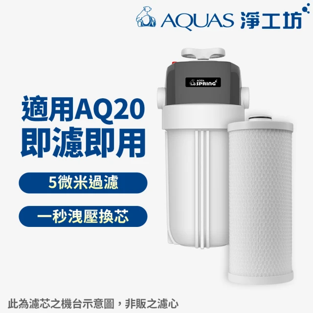 AQUAS 淨工坊 AQ20C碳纖維複合式濾芯-2入特惠組(AQ20全戶除氯過濾器專用)