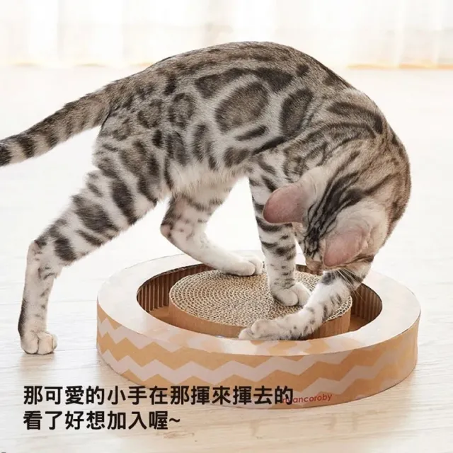 【Gari Gari Wall】圓形貓抓板&玩具(AIM-CAT015)