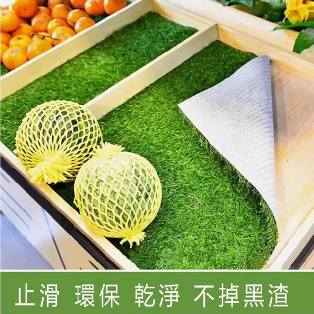 【poko】高品質 人工草皮 100x100cm(白色膠底款 無味 無甲醛 仿真景觀草皮 草坪 草地毯 草皮 假草 不掉渣)