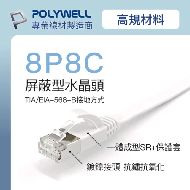 【POLYWELL】CAT6A 高速網路扁線 /0.3M