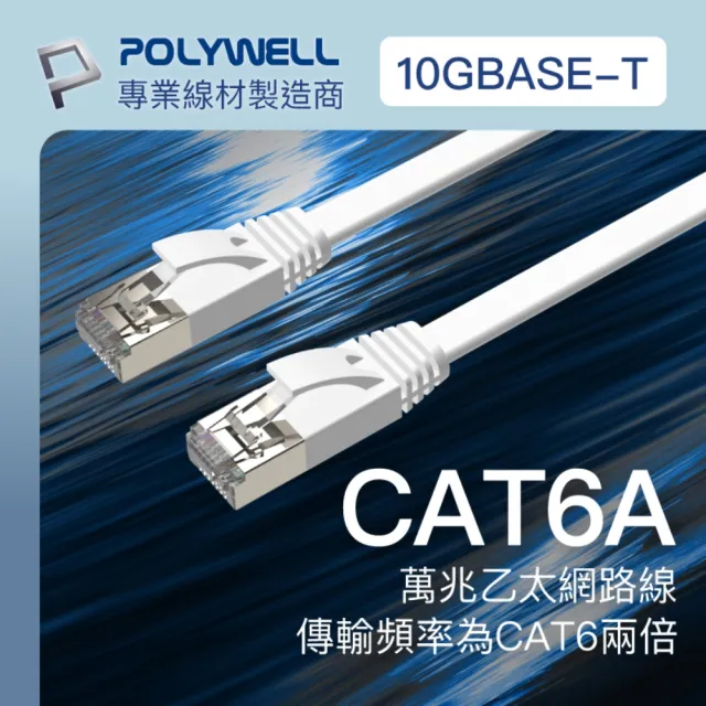 【POLYWELL】CAT6A 高速網路扁線 /2M