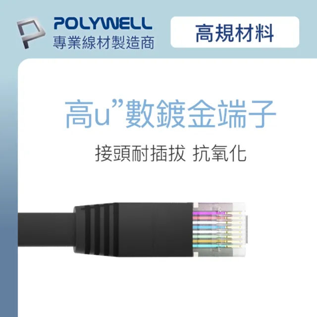 【POLYWELL】CAT6A 高速網路扁線 /5M