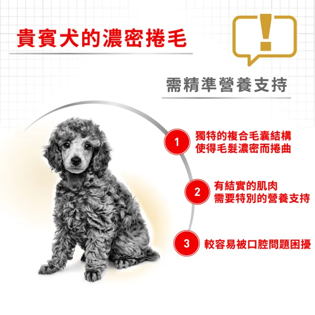 【ROYAL 法國皇家】貴賓成犬專用飼料 PDA 3KG(狗乾糧 狗飼料 亮毛皮膚 口腔健康)