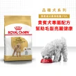 【ROYAL 法國皇家】貴賓成犬專用飼料 PDA 3KG(狗乾糧 狗飼料 亮毛皮膚 口腔健康)