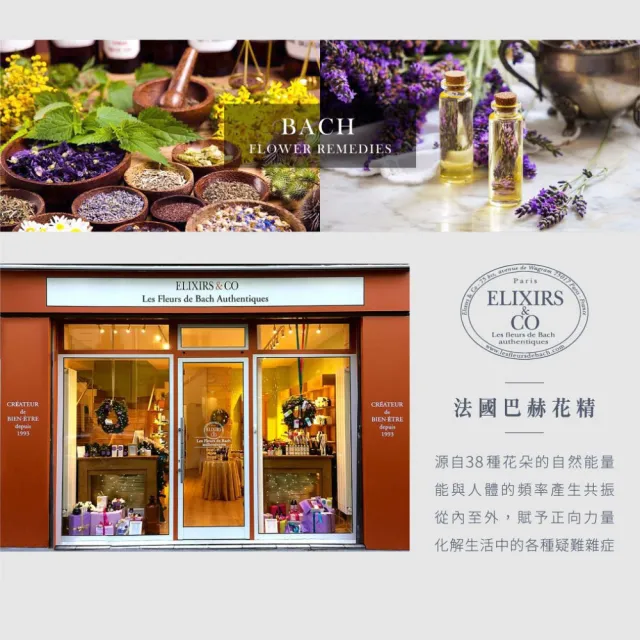 【Les Fleurs de Bach巴赫花精】熟齡芳華滾珠花精10m