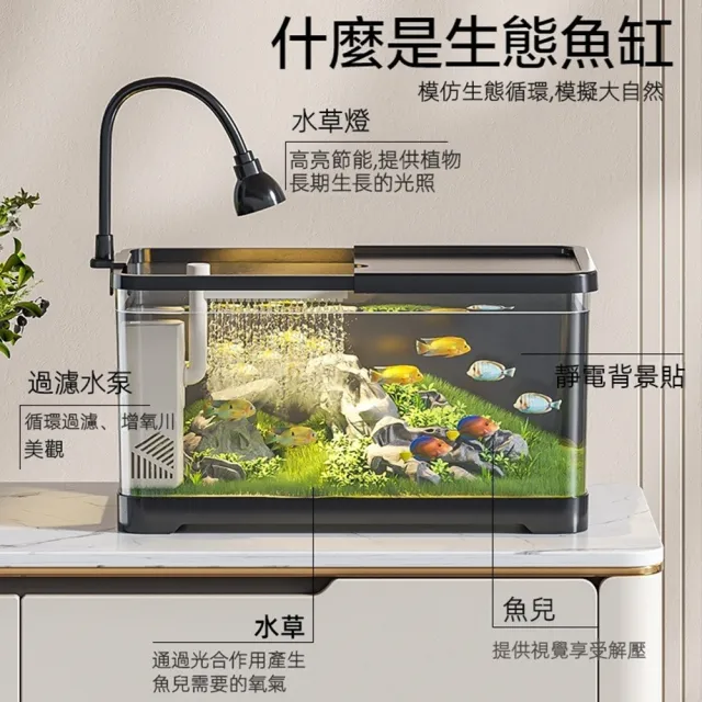 桌上型靜音生態魚缸 升級款(免換水魚缸/桌面魚缸/小型魚缸/懶人魚缸/小魚缸/桌上缸/魚缸水族箱)