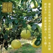 【e果園】台南麻豆40年老欉特A選大白柚10台斤/箱(約4-5大顆/箱-在地老欉/柚香柚圓)