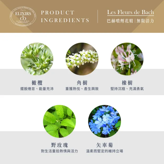 【Les Fleurs de Bach巴赫花精】無限活力複方花精10m(噴式)