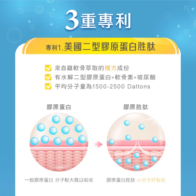 【維奇】力捷登EX 30包