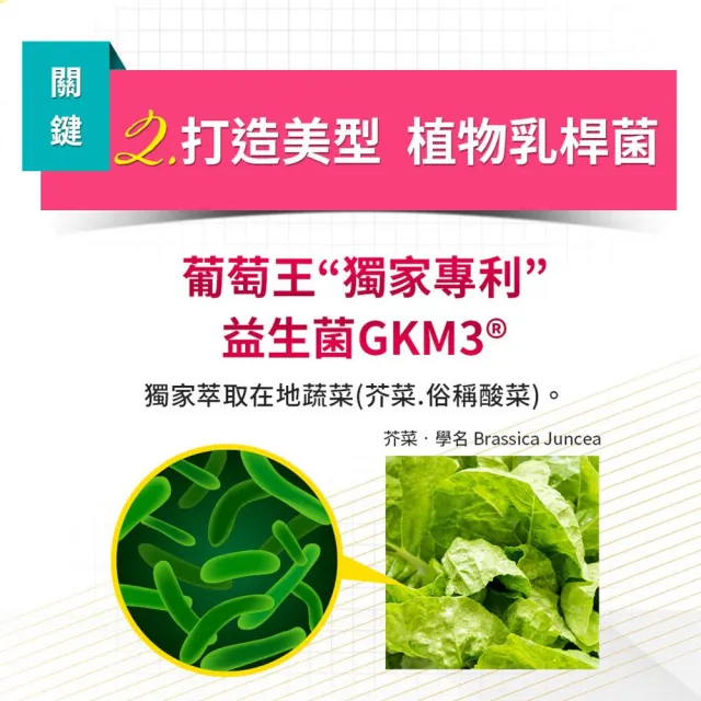 【葡萄王】認證易得纖30粒(LULU推薦 國家健康食品認證 不易形成體脂肪 益生菌膠囊 葡萄王官方)