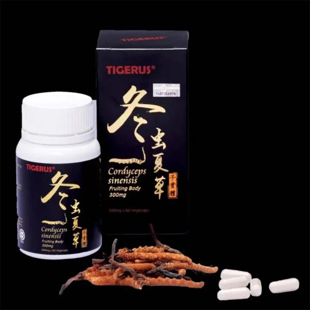 TIGERUS 冬蟲夏草子實體膠囊(300mg x 60粒 素食膠囊)