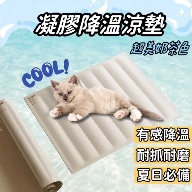 【Petvibe】寵物降溫凝膠涼墊L號(寵物涼墊/寵物降溫涼墊/寵物墊/狗涼墊/狗狗涼墊/貓咪涼墊/寵物涼感窩)