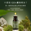 【mo select】100%植物精油3入草本調超值組 10ml(尤加利/迷迭香/茶樹)