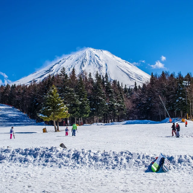 喜鴻假期 【高雄出發．白色東京５日】富士山下戲雪、箱根遊船、海螢隧道、迪士尼樂園、淺草觀音寺