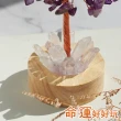 【命運好好玩】湯鎮瑋-名利貴人紫晶樹燈