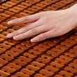 【DeKo岱珂】孟宗竹雙人加大碳化麻將竹蓆 涼蓆 3D透氣加厚網布 速達(雙人加大6*6尺)