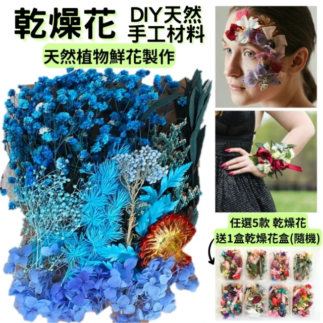 A-ONE 匯旺 DIY藍色永生花材料包 多款多色 乾燥花材料包 情人節禮物 乾燥玫瑰 短枝花材 浮游花(C02)