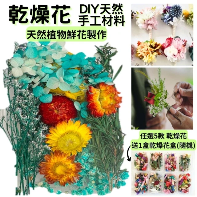 A-ONE 匯旺 乾燥花材料包 永生花 浮油花 乾燥花DIY 乾燥花藝教學 自然乾燥花材料包 乾燥花材料禮盒(A03)