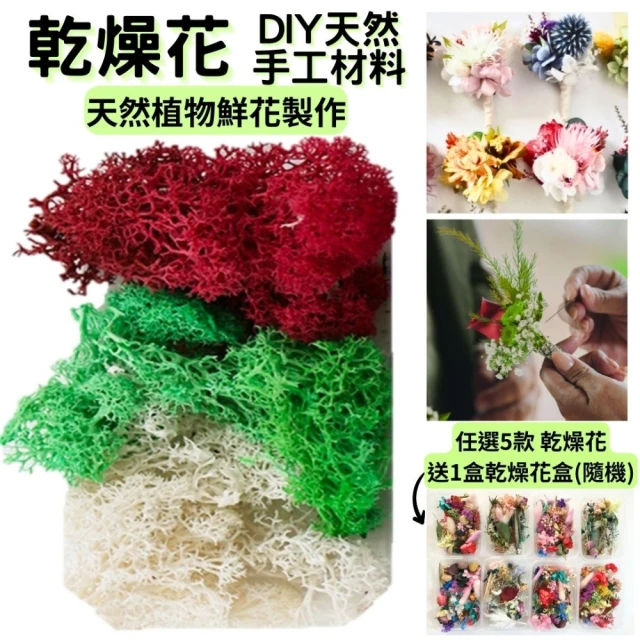 A-ONE 匯旺 永生苔癬 材料包 短枝綜合乾花材料 花材盒 苔癬 永生繡球 小花瓣不凋花 永生花 花材(A19)