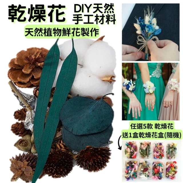 A-ONE 匯旺 乾果花藝 乾花 DIY材料包 天然植物風乾松果 肉桂 棉花 手辦裝飾擺飾 乾燥花(B15)