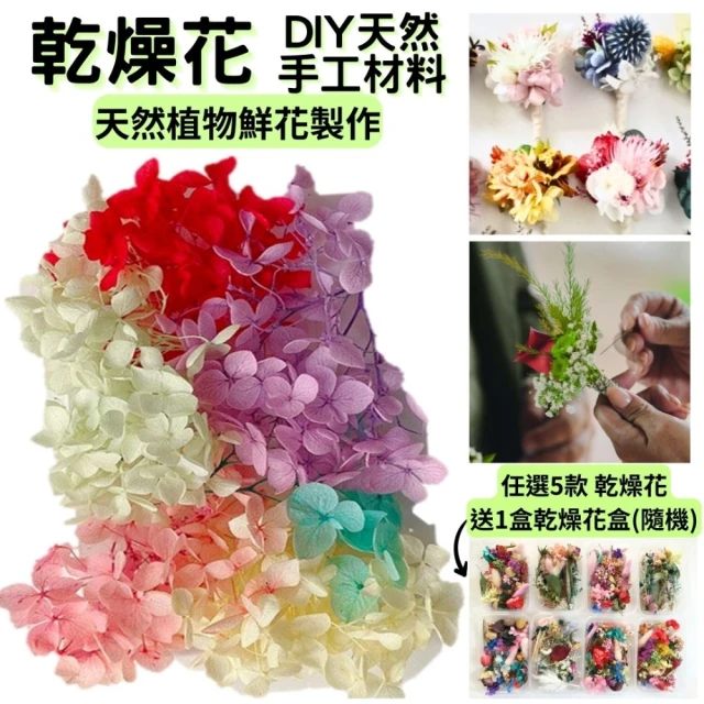 A-ONE 匯旺 安娜繡球 花材 乾燥花材 乾燥花 DIY浮游花 不凋花 永生花 仿真花 捧花 拍照(A17)