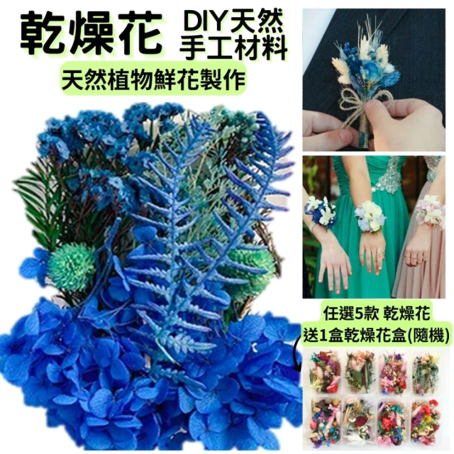 A-ONE 匯旺 永久花盒 藍色乾燥花 不凋花 永生花 花材 手作 花束 捧花 情人節 母親節手作花(B04)