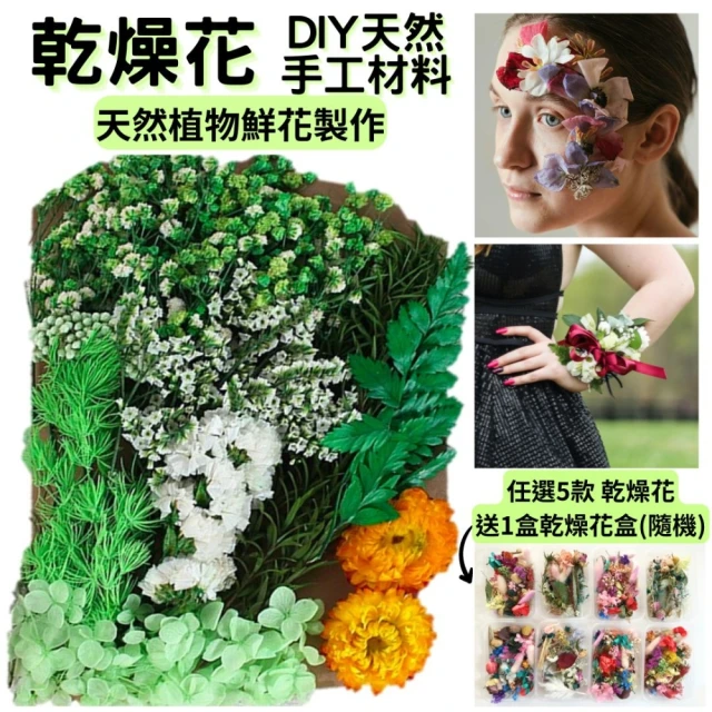 A-ONE 匯旺 天然乾燥花 植物果實 拍照道具 花材 花藝材料包 浮游花 永生花 浮油花 乾花 乾燥花材(C11)