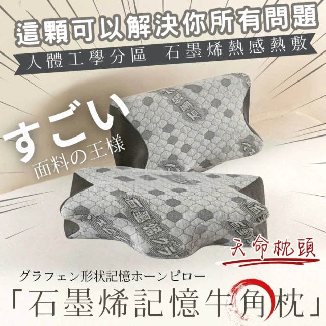 Jindachi 金大器 兩入組-備長炭釋壓記憶工學枕-35