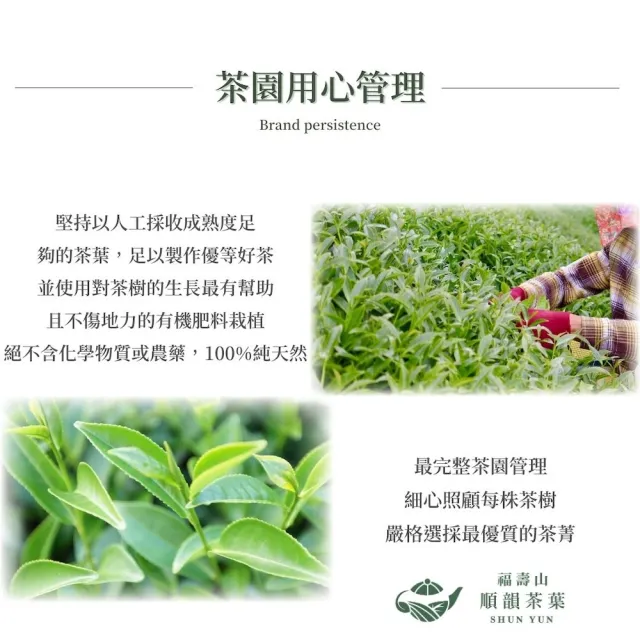 【順韻茶葉】華崗頂級茗茶一斤組75g*8包(台灣高海拔茶區渾厚山泓氣雋永喉韻)