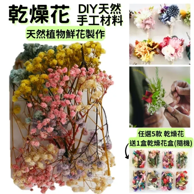 【A-ONE 匯旺】滿天星永生花 不凋滿天星 永生花材 乾燥花 情人節畢業花束 花禮 乾燥花束 捧花拍照(A24)
