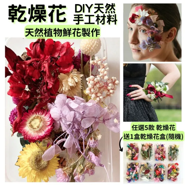 【A-ONE 匯旺】天然乾燥花 隨機出貨 乾花 花藝材料包 永生花 浮油花 植物果實(D01)