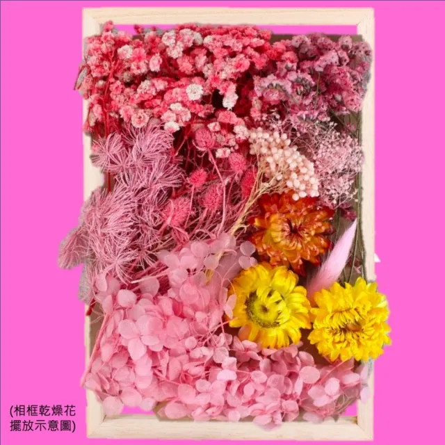 【A-ONE 匯旺】天然乾燥花 材料包 乾燥花材 花藝材料 松果 乾花 永生花 橡實 花瓣 拍照道具 婚禮(C06)