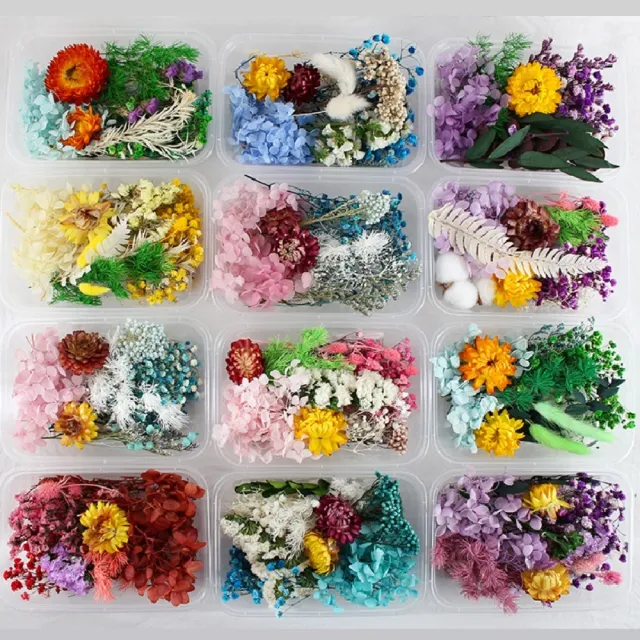 【A-ONE 匯旺】天然乾燥花 材料包 乾燥花材 花藝材料 松果 乾花 永生花 橡實 花瓣 拍照道具 婚禮(C06)